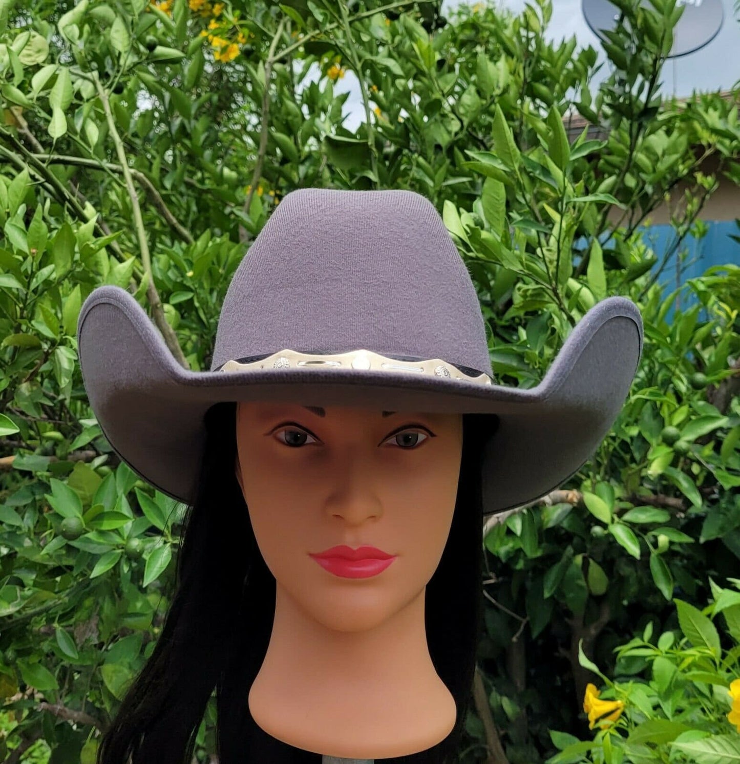 Woman's Cowboy cowgirl western gray hat, the luxury cowboy hat w/big Brim